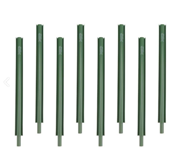 Pine Forest