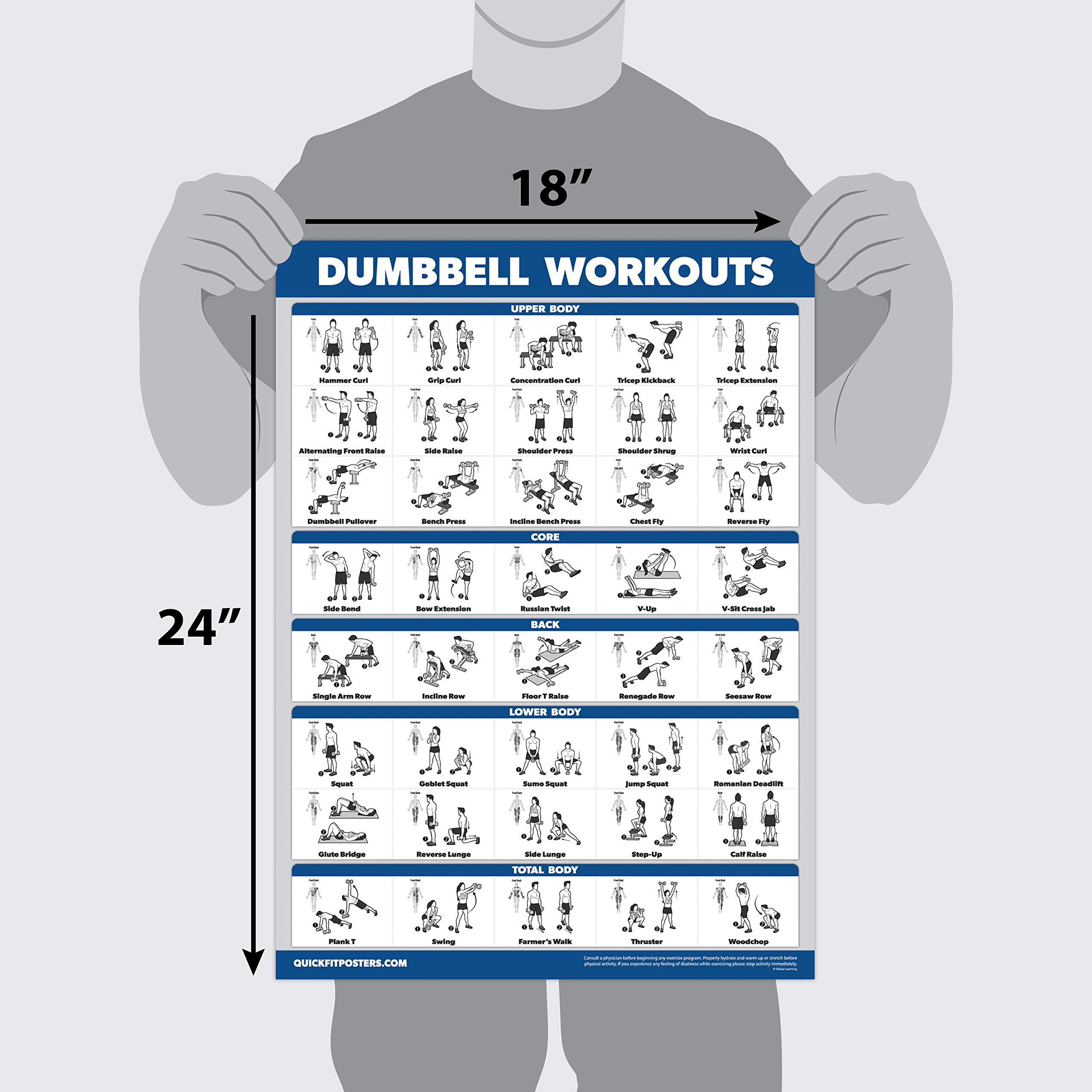 Dumbbell Workout Posters & Resistance Band Exercise Charts - 4 Pack Fitness Guide for Home Gym, Strength Training & Muscle Building | Includes Vol 1, 2, 3 + Band Workouts | Perfect for Beginners & Advanced Athletes