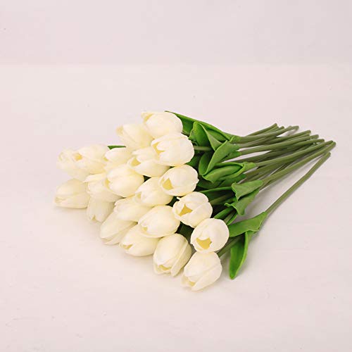 Milk White