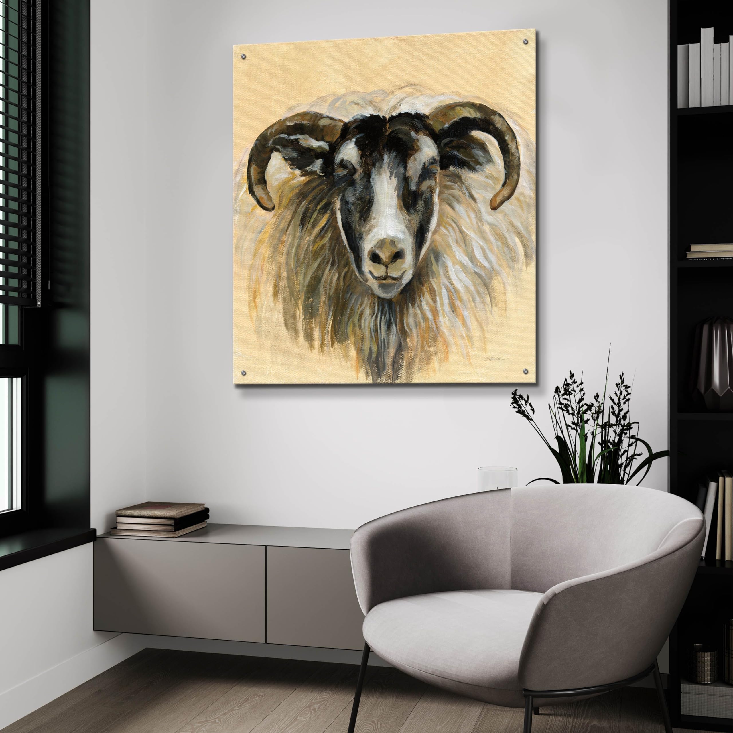 Silvia Vassileva Highland Animal Ram Acrylic Glass Wall Art - 36x36 Inches Modern Home Decor for Living Room, Bedroom & Office