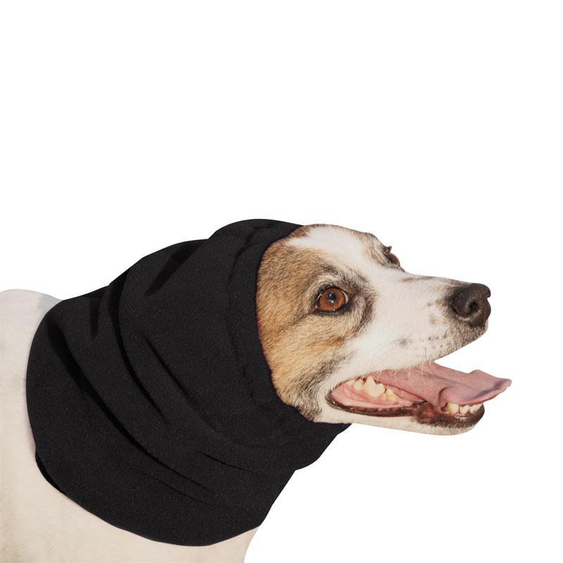 Jack Russell Terrier Hoodie - Cute Dog Lover Sweatshirt for Men & Women - Cozy Pullover for Dog Walking, Pet Park Visits & Casual Outings