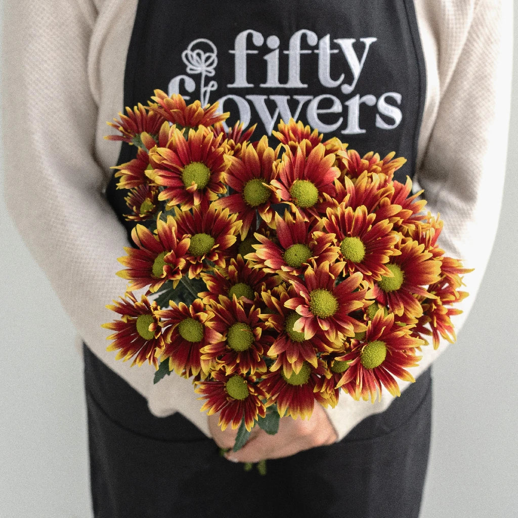 Autumn Daisy Flower - Fresh & Vibrant Fall Blooms for Home Decor, Wedding Bouquets, and Seasonal Arrangements
