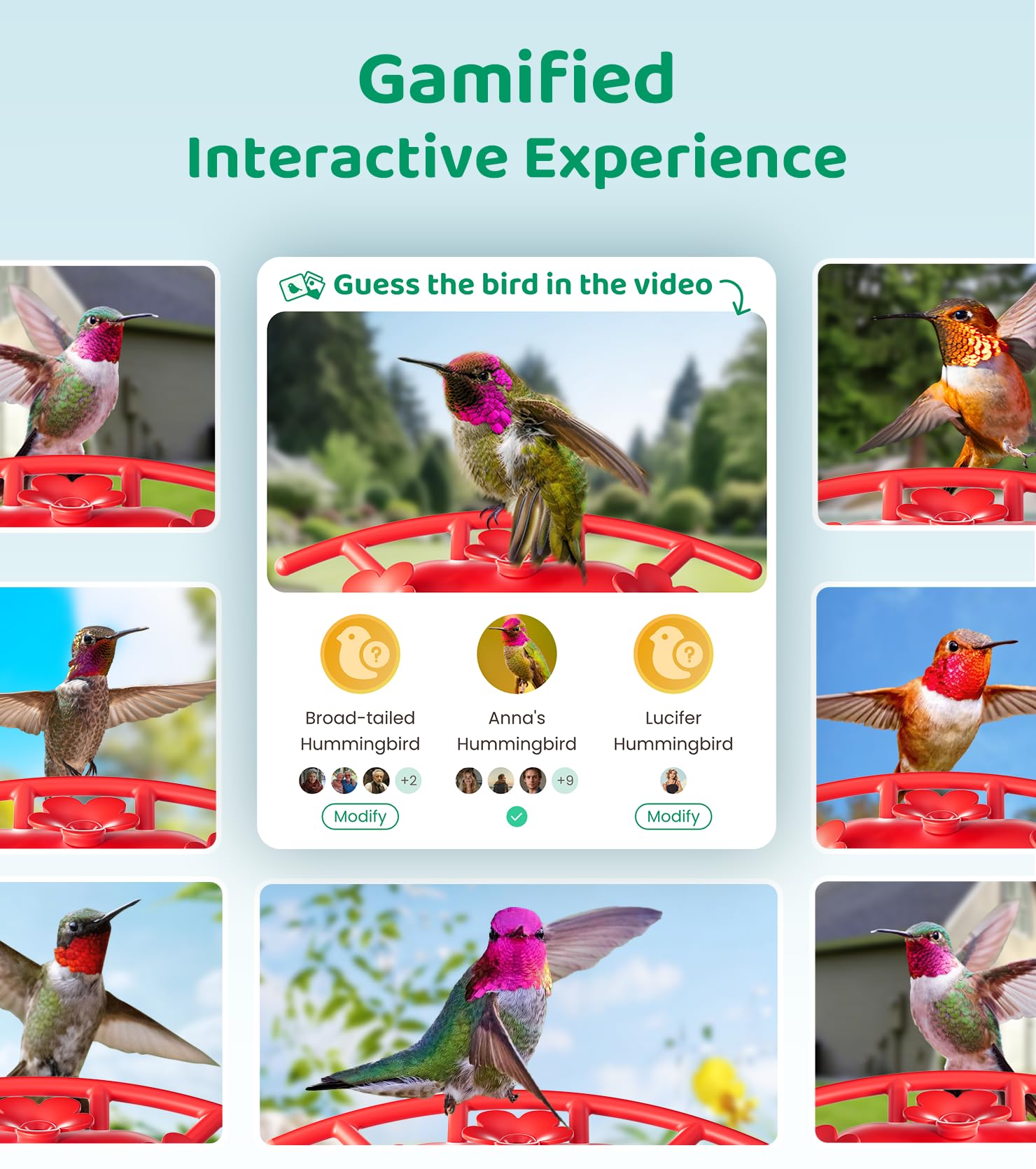 HIXX Smart Hummingbird Feeder with Camera - Solar Powered Bird Feeder with AI Recognition, Ant Moat & Bee Proof Design - Easy Clean & Refill - Includes Coolfly Birdwatching App - Perfect Gift for Bird Lovers (17.5 oz) - Ideal for Backyard Birdwatching, Nature Photography & Outdoor Decor