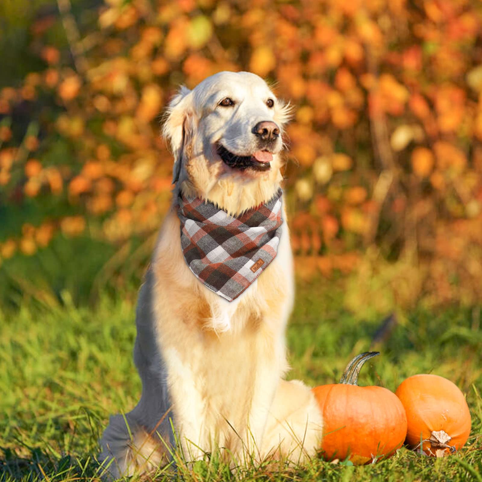 Malier 2 Pack Thanksgiving Dog Bandanas - Classic Buffalo Plaid Pet Scarves for Small to XL Dogs | Fall Dog Accessories for Boys & Girls | Perfect for Thanksgiving Photos, Autumn Walks & Holiday Pet Costumes