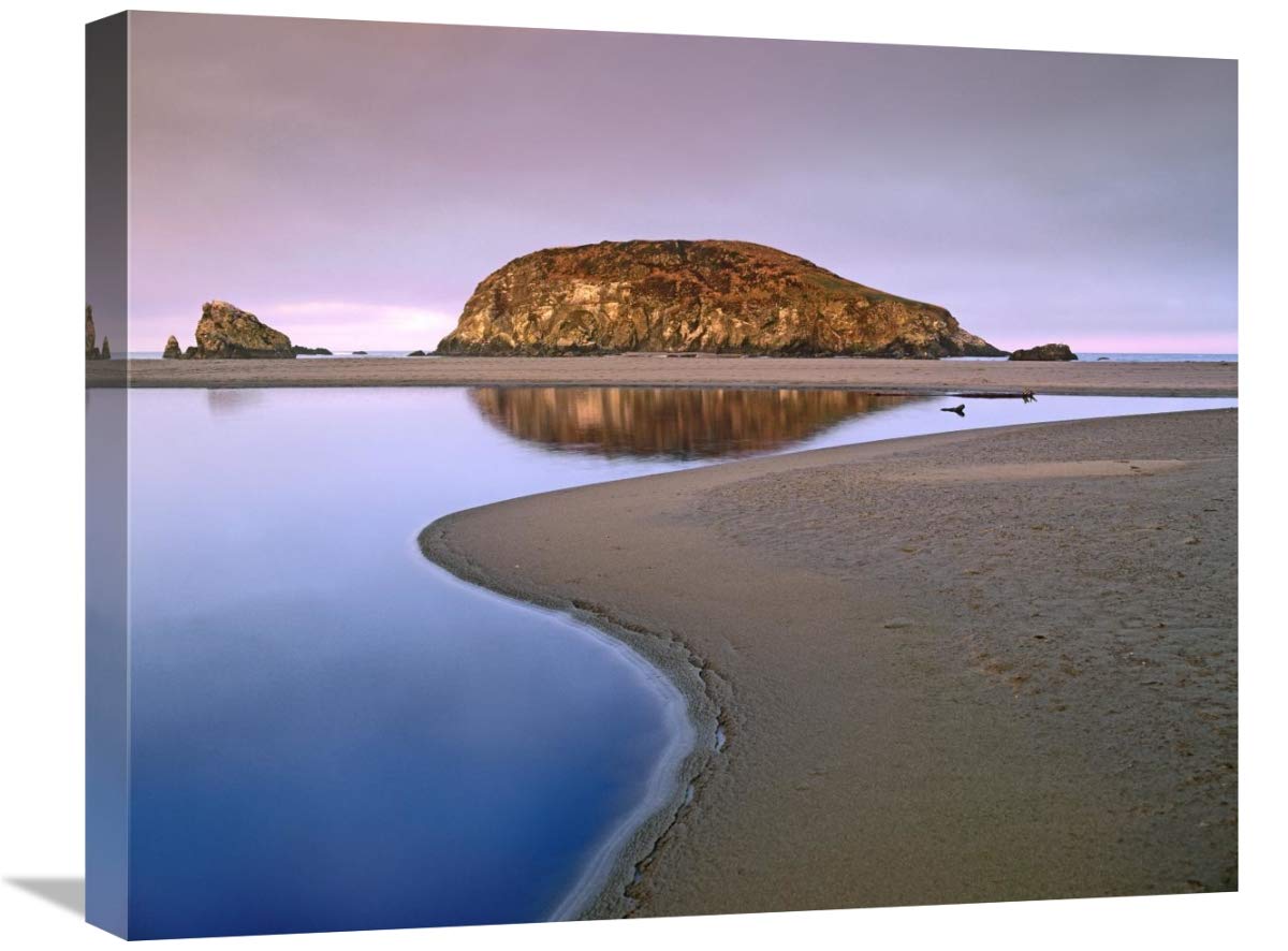 20 x 24 Inch Harris Beach State Park Oregon Wall Art Print by Tim Fitzharris - Coastal Decor for Living Room, Bedroom & Office