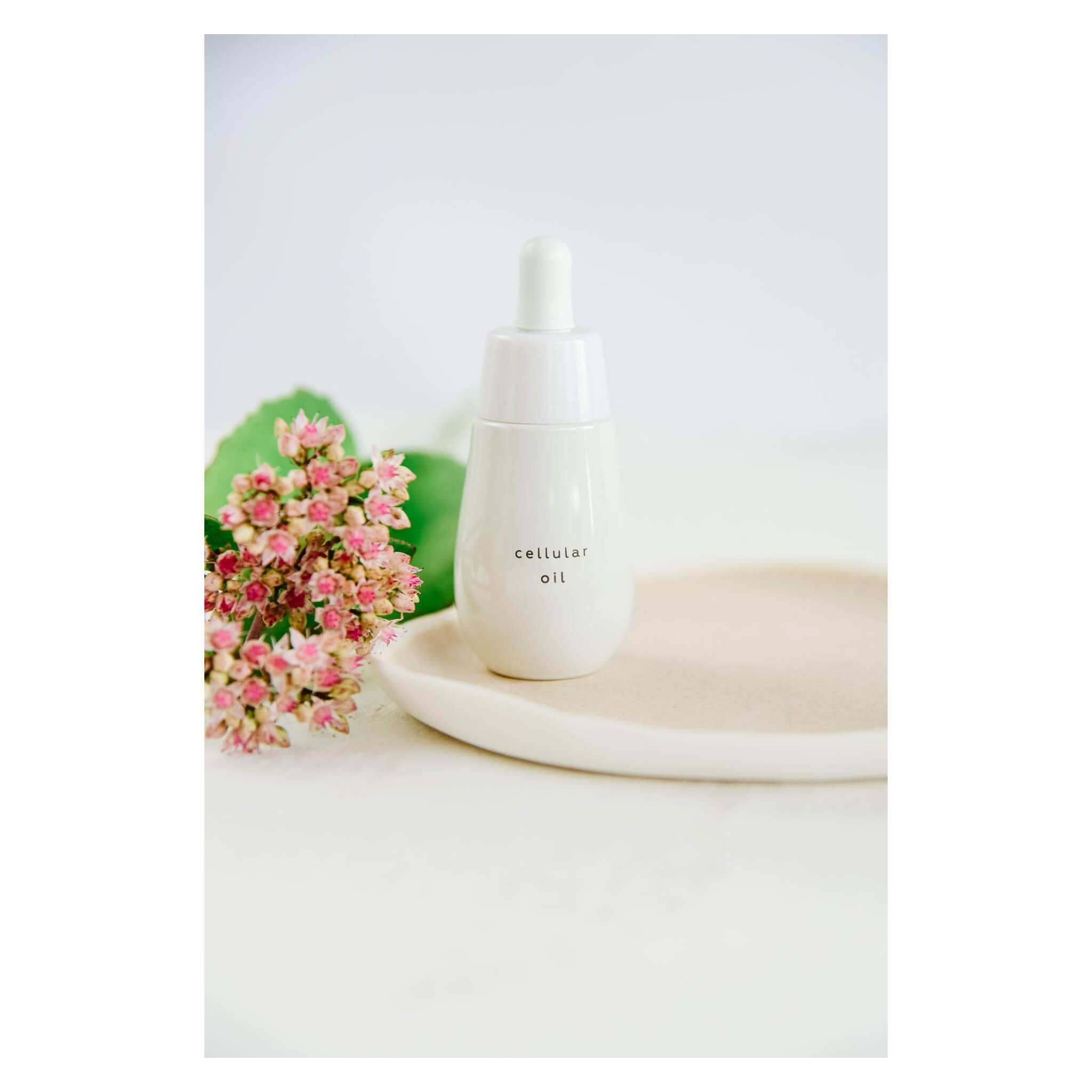 Best Cellular Oil Skin Revival Serum for Anti-Aging & Hydration - Rejuvenating Face Treatment for Dry Skin & Wrinkles - Perfect for Night Routine & Daily Skincare Regimen