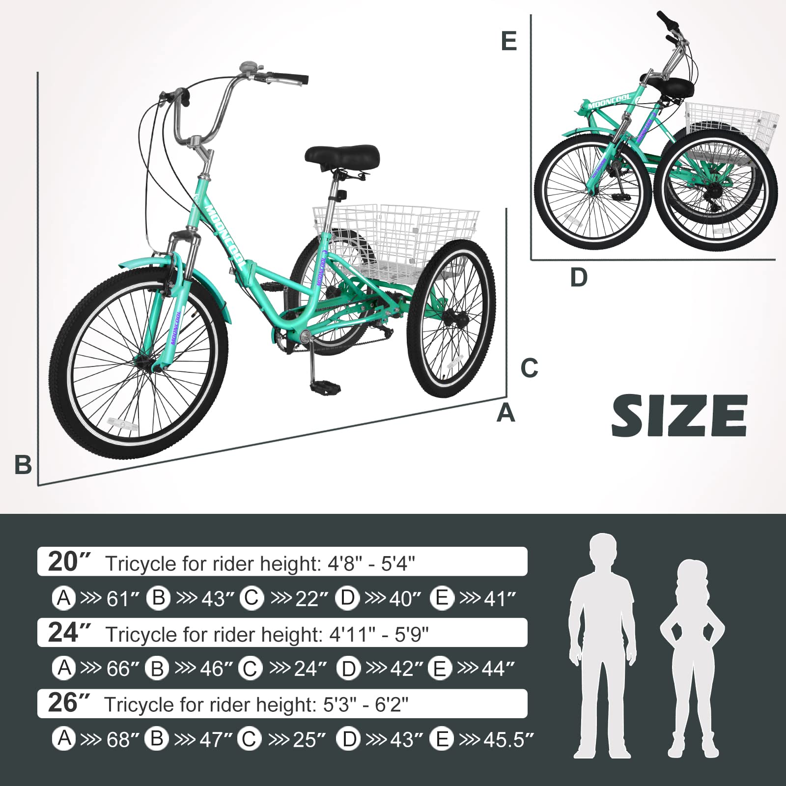 Adult Tricycle Bike - 3 Wheel Cruiser with Large Basket, 7-Speed Derailleur & Parking Brake - Includes Maintenance Tools - Perfect for Seniors, Grocery Shopping & Outdoor Recreation