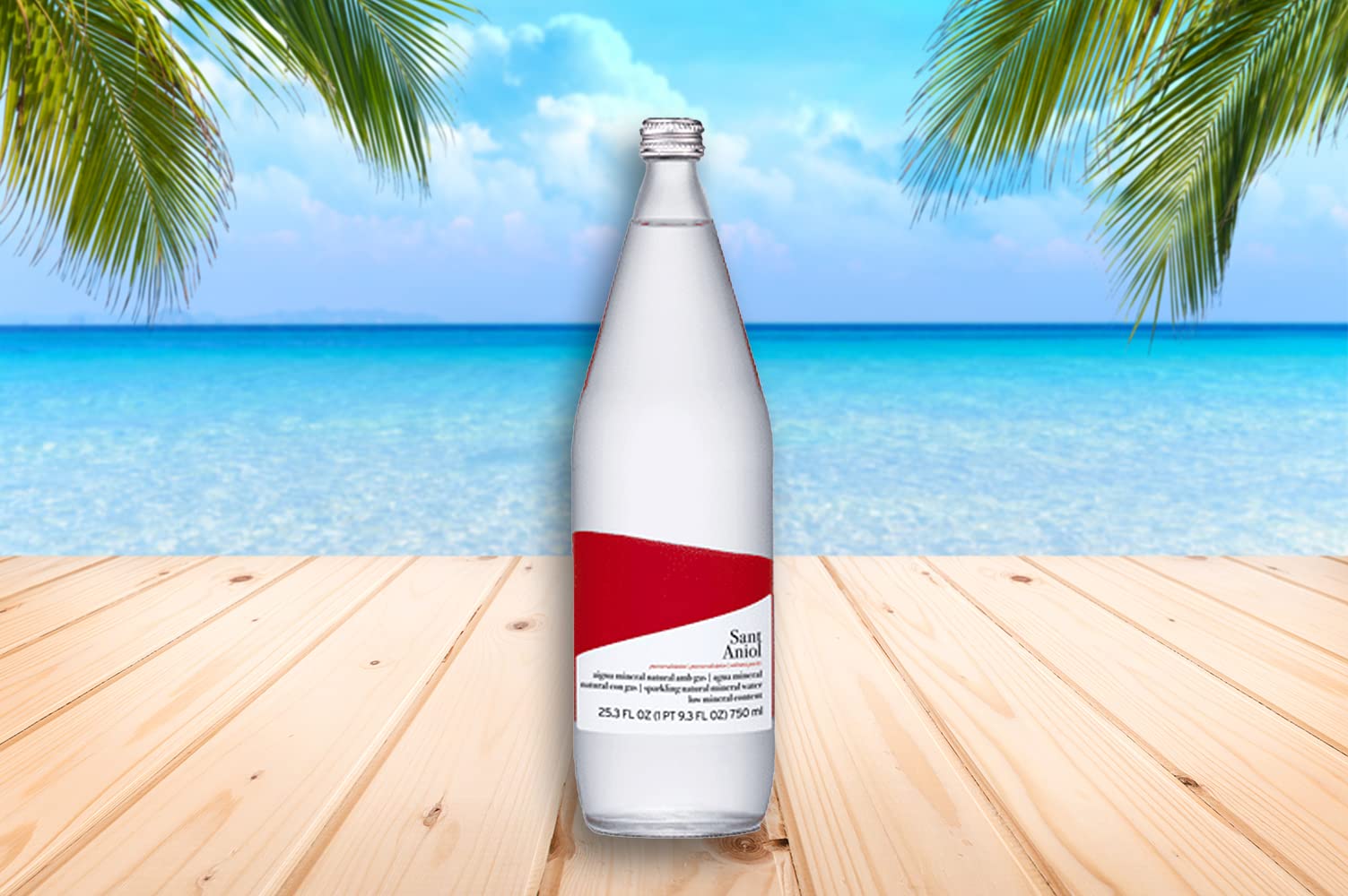 Sant Aniol Sparkling Natural Mineral Water - 750ml (12 Glass Bottles) | Premium Spanish Carbonated Spring Water for Parties, Gifts & Fine Dining
