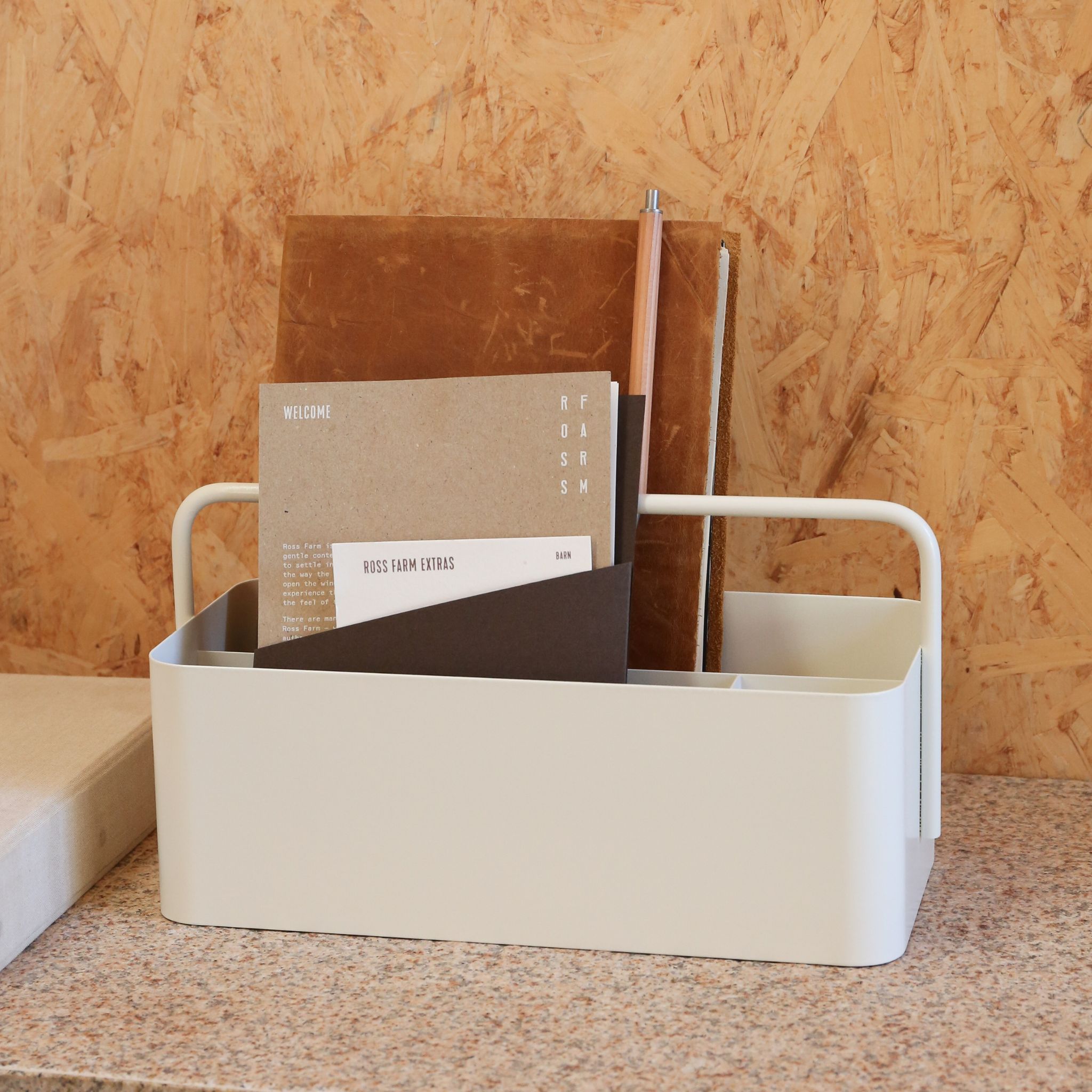 DESIGNSTUFF The Carry All Caddy and Storage Box - White Organizer for Home, Office, Bathroom & Car Organization | Multi-Purpose Storage Solution