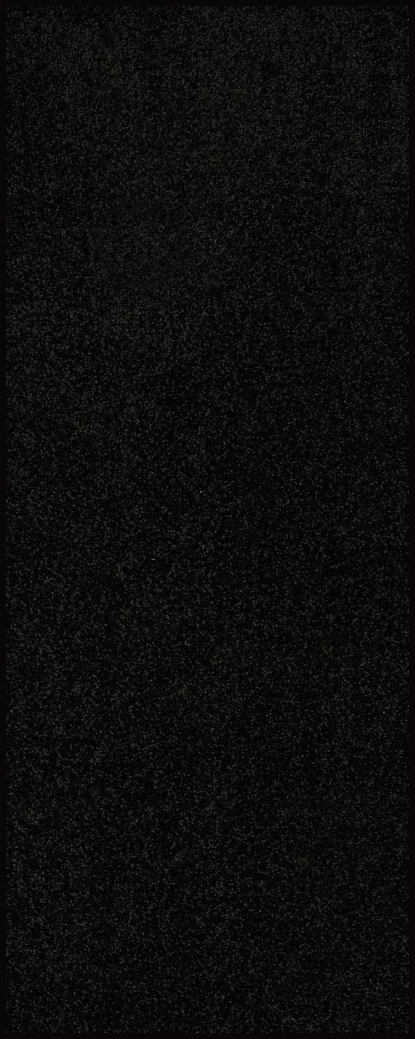 Home Queen Solid Color Custom Size Runner Area Rug - 4' x 38' Black Stain Resistant Machine-Made Rug for Living Room, Hallway, Wedding Decor & Pet-Friendly Home Decor | Durable & Stylish Floor Mat for High Traffic Areas