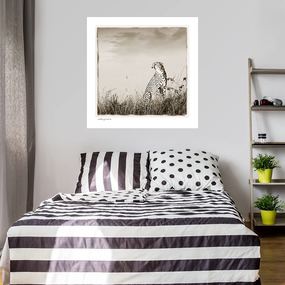 Solitary Cheetah Fine Art Canvas Print - Premium Wildlife Wall Decor by Artist Tiedge - 37x37 Inches - Ready to Hang for Living Room, Bedroom, Office & More - Perfect for Nature Lovers & Safari-Themed Interiors