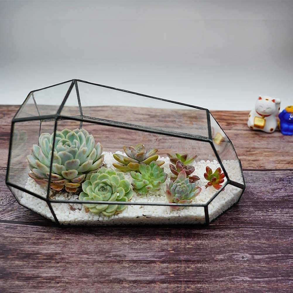 Geometric Glass Terrarium Planter for Cacti & Succulents - Irregular Tabletop Container (6.5x5.7x9.8 Inches) - Modern Home, Office & Garden Decor - Perfect for Indoor Plants, Desk Decor & Gift Ideas