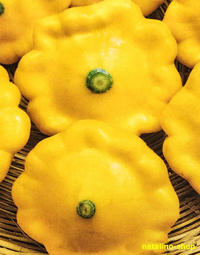 Golden-Yellow Pattypan Squash Seeds - 20+ Non-GMO Scallop Squash Seeds for Planting, Home Garden & Fresh Cooking | Perfect for Summer Squash Recipes, Organic Gardening & Farmers Market Harvests