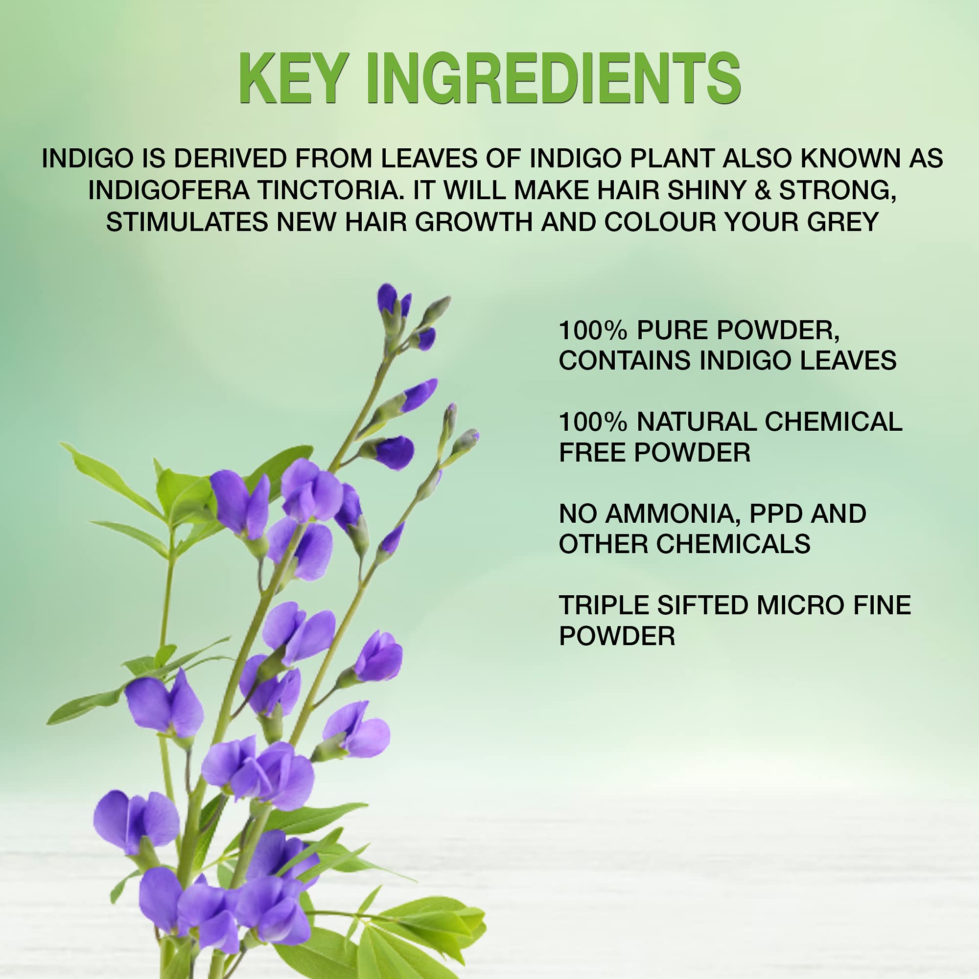 Elemensis Naturals Organic Pure Indigo Powder for Hair Coloring - Promotes Shiny, Strong Hair, Reduces Hair Fall & Dandruff (100g) | Natural Hair Dye for Gray Coverage & Healthy Hair Care at Home