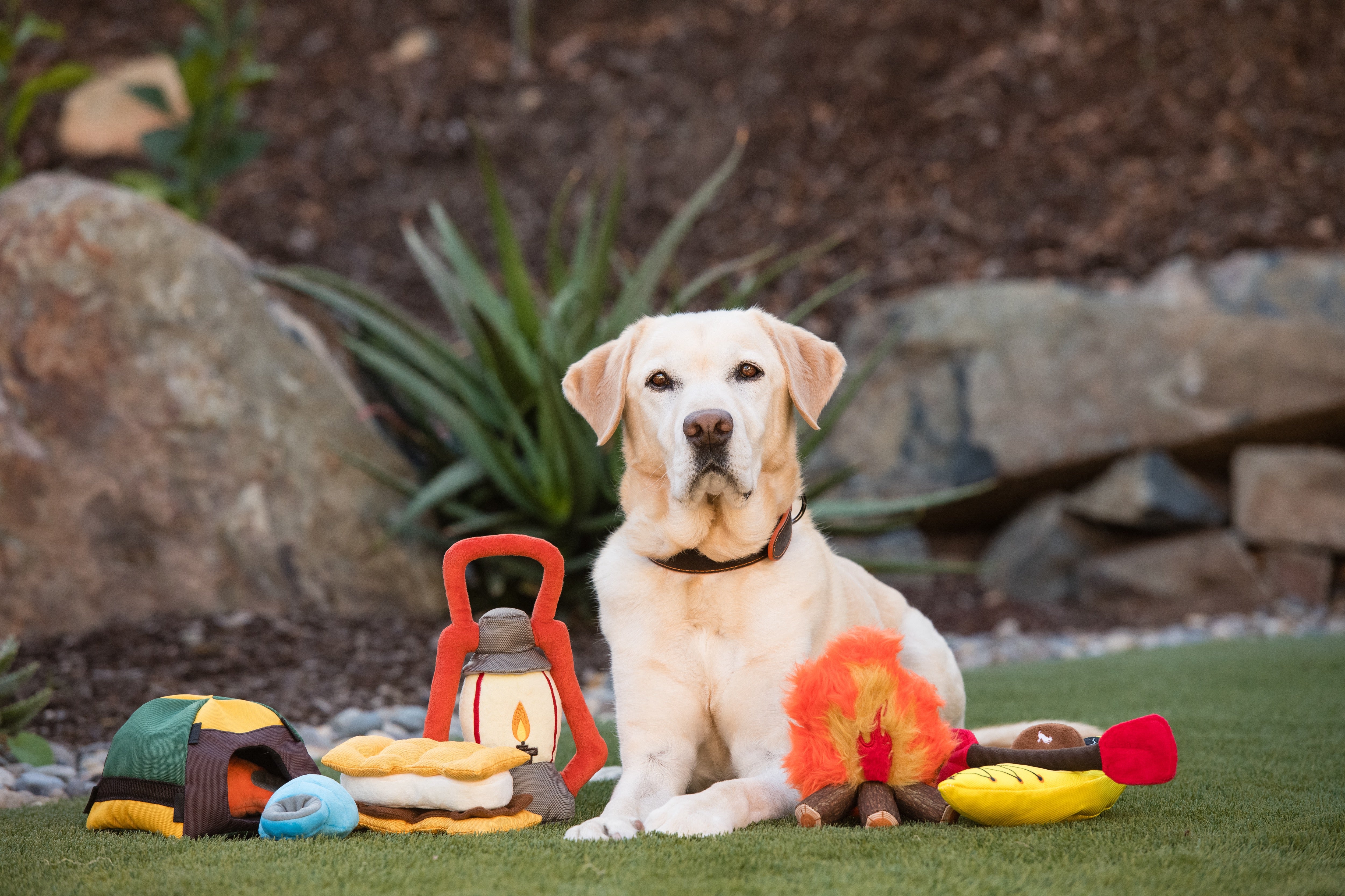 La Fogata Dog Chew Toy - Camp Corbin™ Plush Squeaky Chew Toy for Dogs | Pet P.L.A.Y. | Perfect for Playtime, Training & Outdoor Adventures