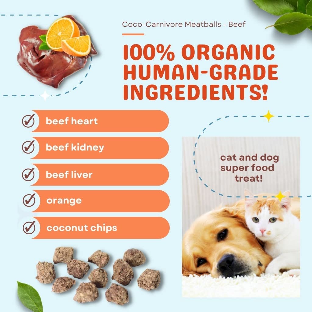 CocoTherapy 3 Pack of Coco-Carnivore Meatballs Dog Treats - Grain Free, All Natural Beef Flavor - Perfect for Training, Rewards & Dental Health