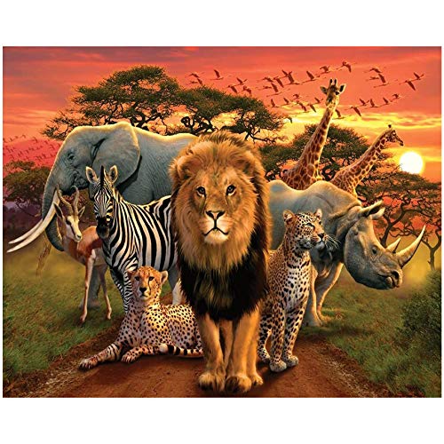 Jungle #2194