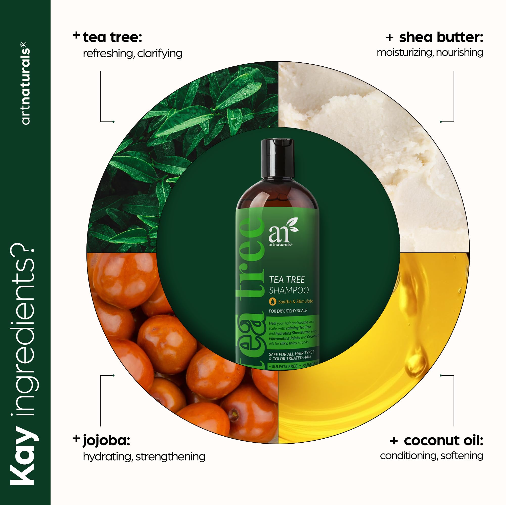 Artnaturals Tea Tree Conditioner 16 Fl Oz - Sulfate Free & Natural Formula with 100% Pure Therapeutic Grade Tea Tree Oil - Relieves Dandruff, Itchy & Dry Scalp - For Men & Women - Perfect for Daily Hair Care & Scalp Treatment