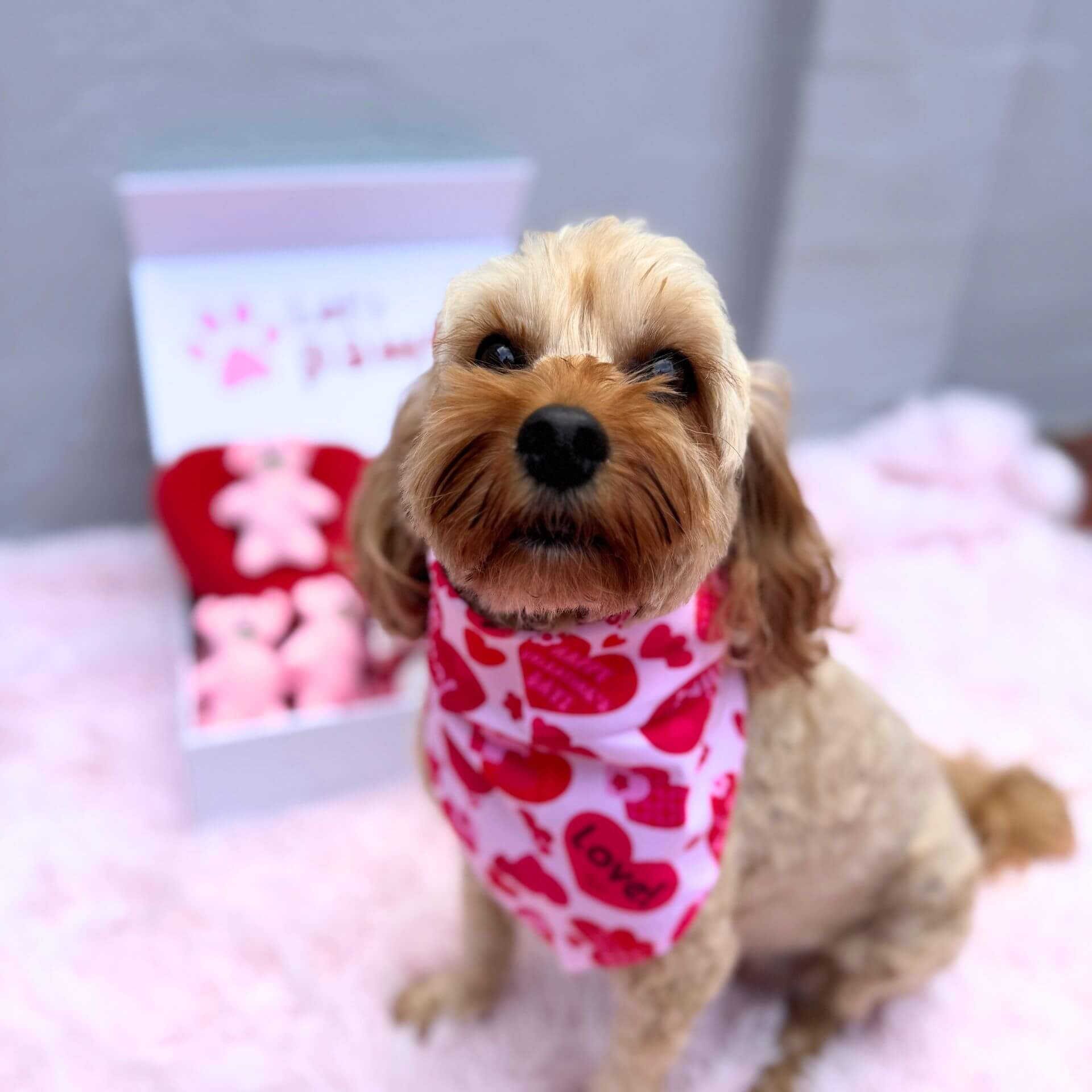 Be Mine Valentine Dog Bandana - Adjustable Tie-Up Pet Bandana for Small Medium Large Dogs - Perfect for Valentine's Day, Photo Shoots & Special Occasions