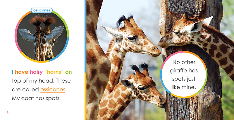 Baby Giraffes Book - ISBN 9781640262478 - Perfect for Kids' Bedtime Stories & Animal Lovers