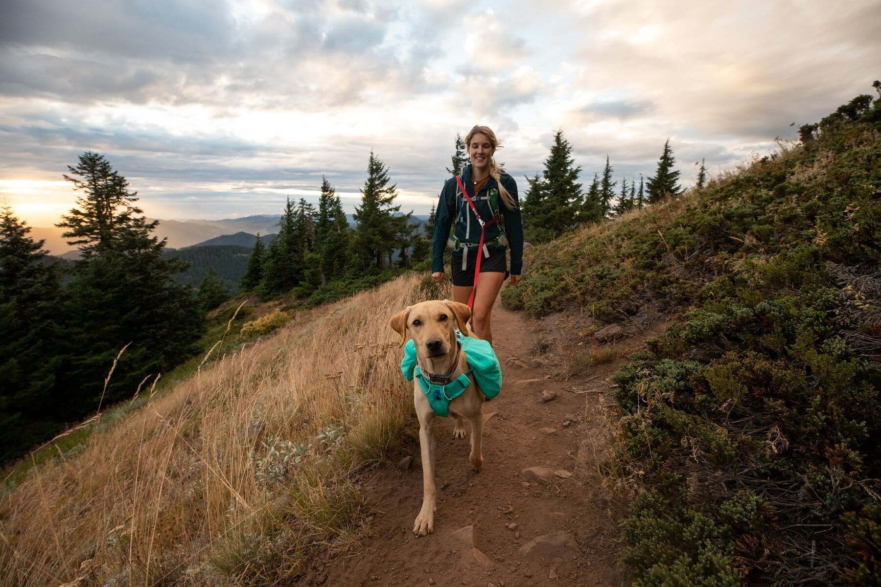 Ruffwear Front Range Dog Backpack - Lightweight & Adjustable Day Pack for Hiking & Outdoor Adventures - Lunar Blue (Mochila/Alforja para Perros) - Perfect for Camping, Trail Walks & Pet Travel Accessories