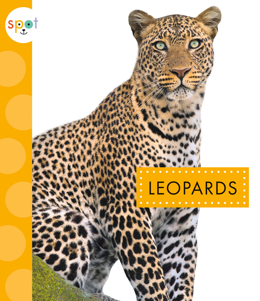 Leopard Print Fashion & Accessories for Women | Trendy Animal Print Clothing, Bags & Shoes - Perfect for Parties, Date Nights & Bold Style Statements