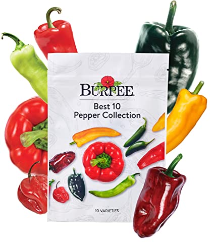 Best 10 Pepper Collection