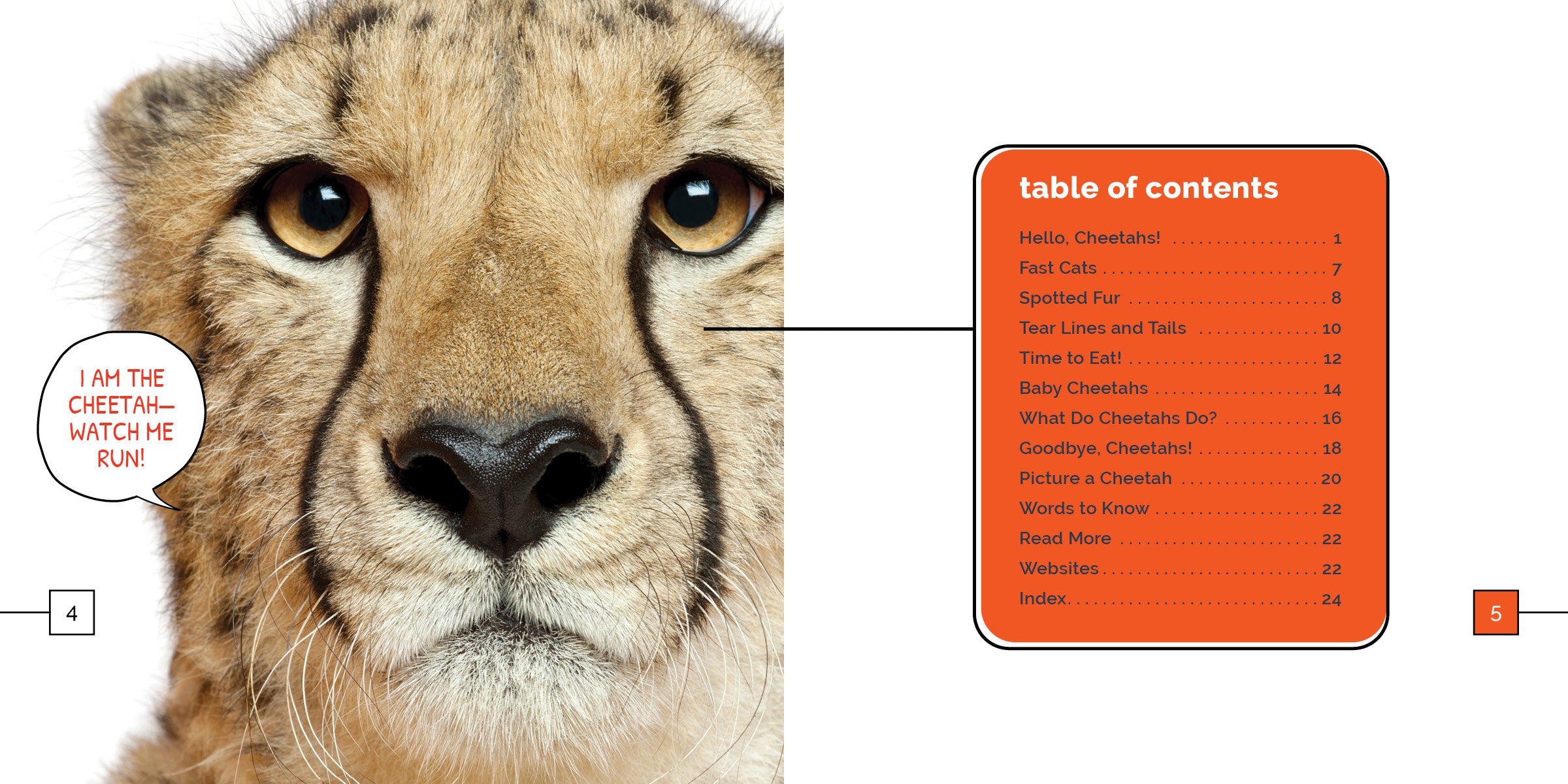 Cheetahs Book 9781640268388 - Wildlife Animal Facts, Photos & Educational Guide for Kids & Adults - Perfect for School Projects, Nature Lovers & Safari Enthusiasts