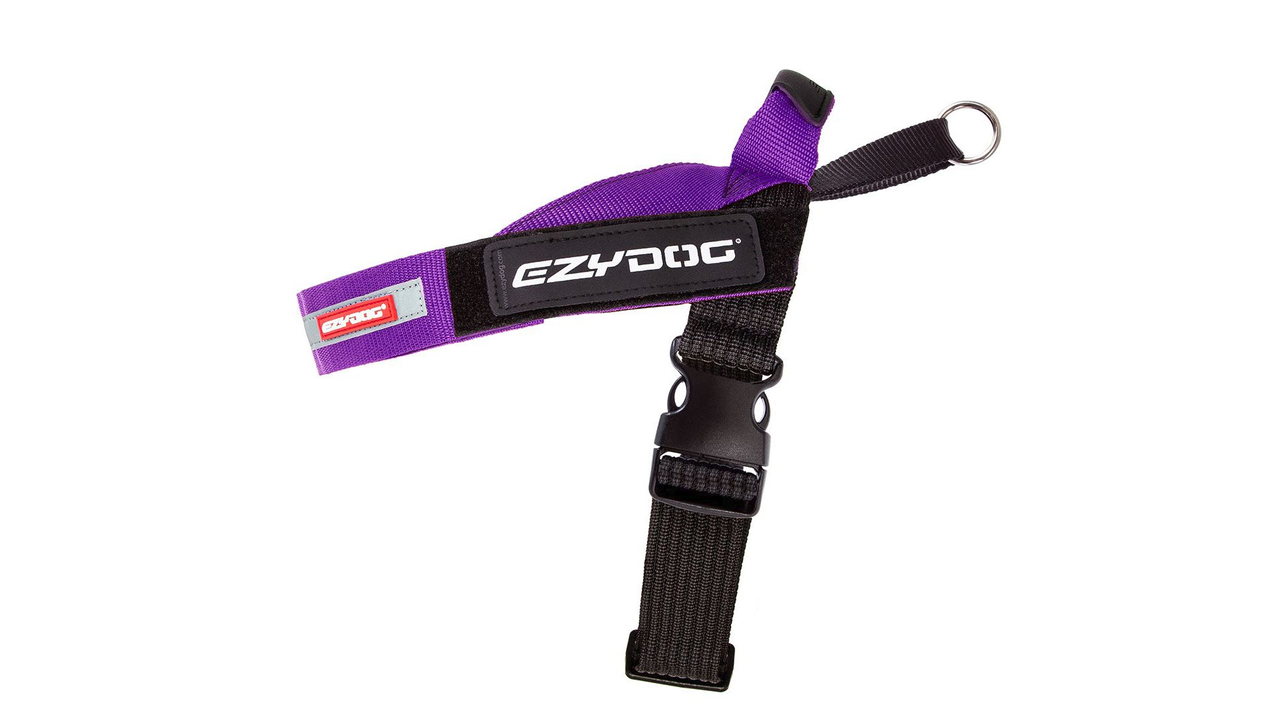 EzyDog Express Harness - Adjustable No-Pull Dog Harness in Purple | Perfect for Walking, Running & Outdoor Adventures with Your Pet
