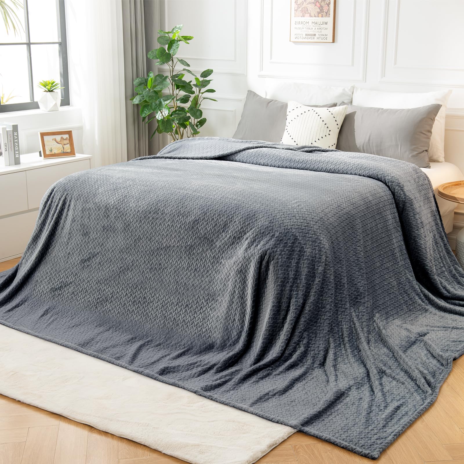 Oversized King Throw Blanket 120