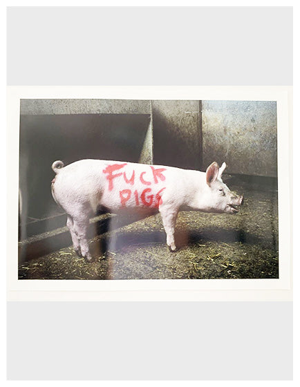 Banksy 'Fuck Pigs' High Society Print by Lazarides - Street Art Wall Decor for Urban Home & Office
