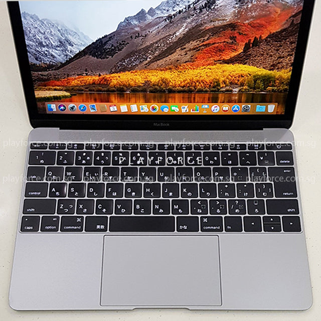 Apple MacBook 2016 12-inch Laptop - 256GB SSD, Space Gray (Japan Version) | Ultra-Thin & Lightweight for Business, Travel & College Students