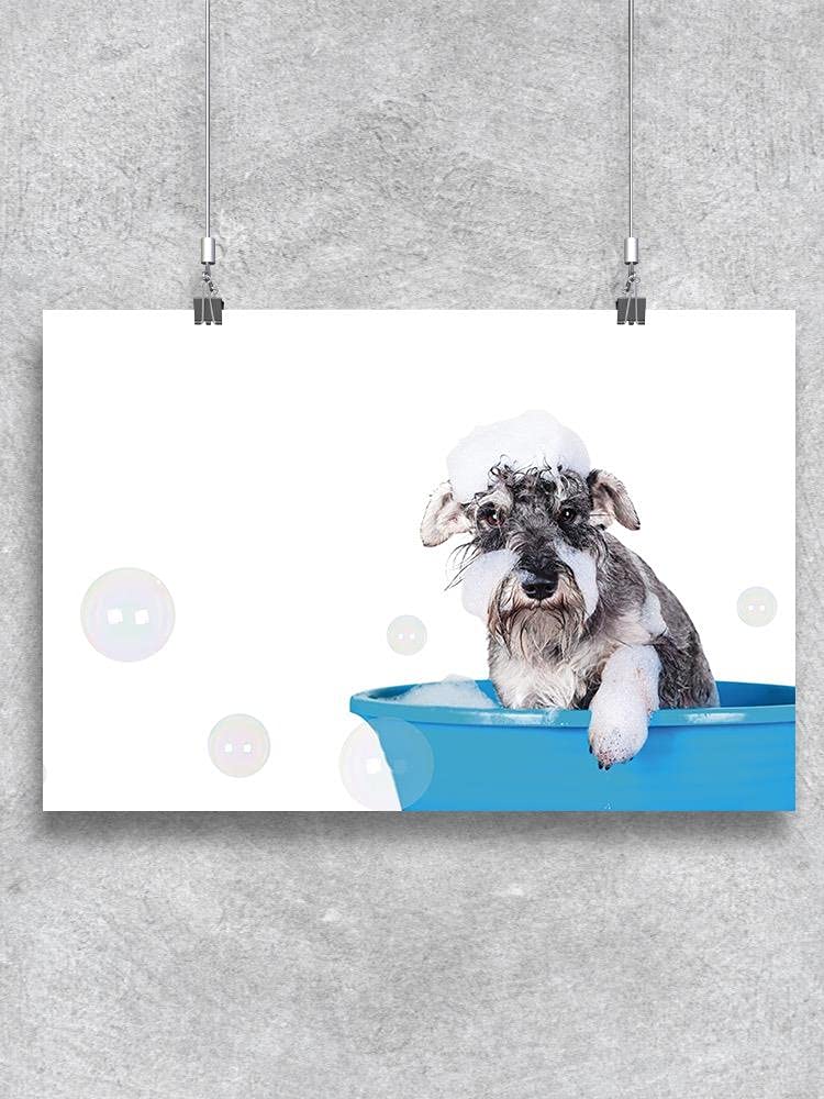 Smartprints Schnauzer Puppy Taking A Bath Wall Art Poster - Perfect for Dog Lovers, Home Decor, Living Room, Bedroom & Office