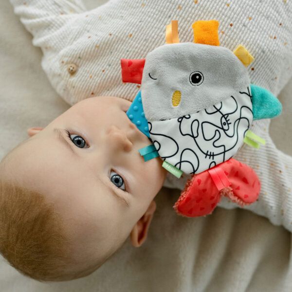 Fehn Crinkle Fish Sensory Toy for Babies & Toddlers - Soft, Noisy, and Interactive Early Learning Toy for Sensory Development & Playtime Fun