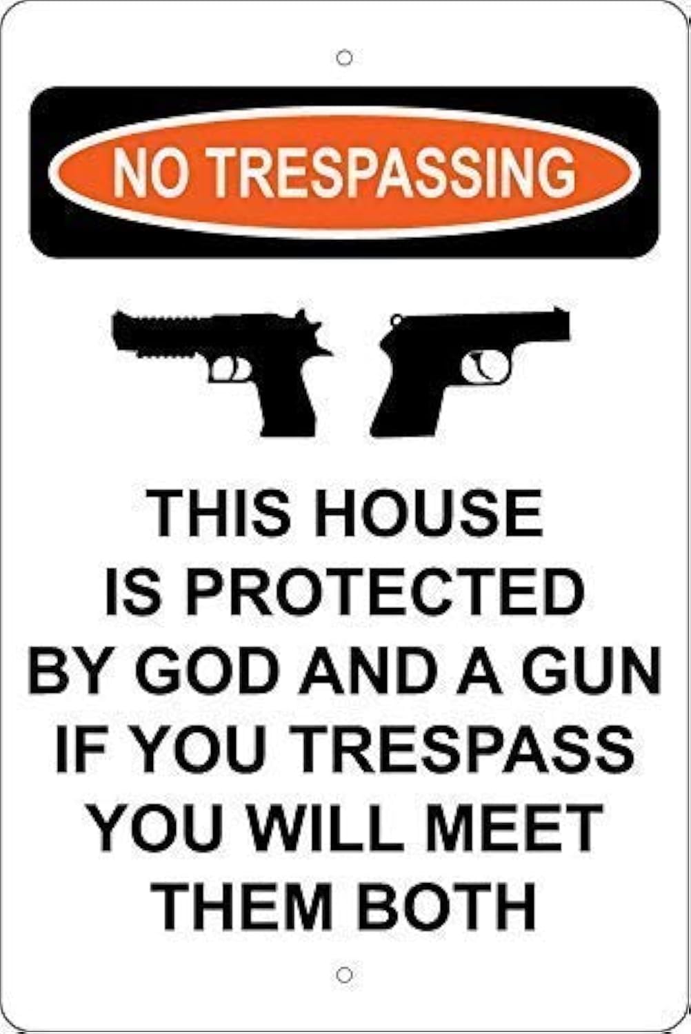 No Trespassing Sign - 8x12 Inch Metal Aluminum Plaque with 'This House is Protected by God & A Gun' Design - Rustic Home Security Decor for Front Door, Yard, or Ranch