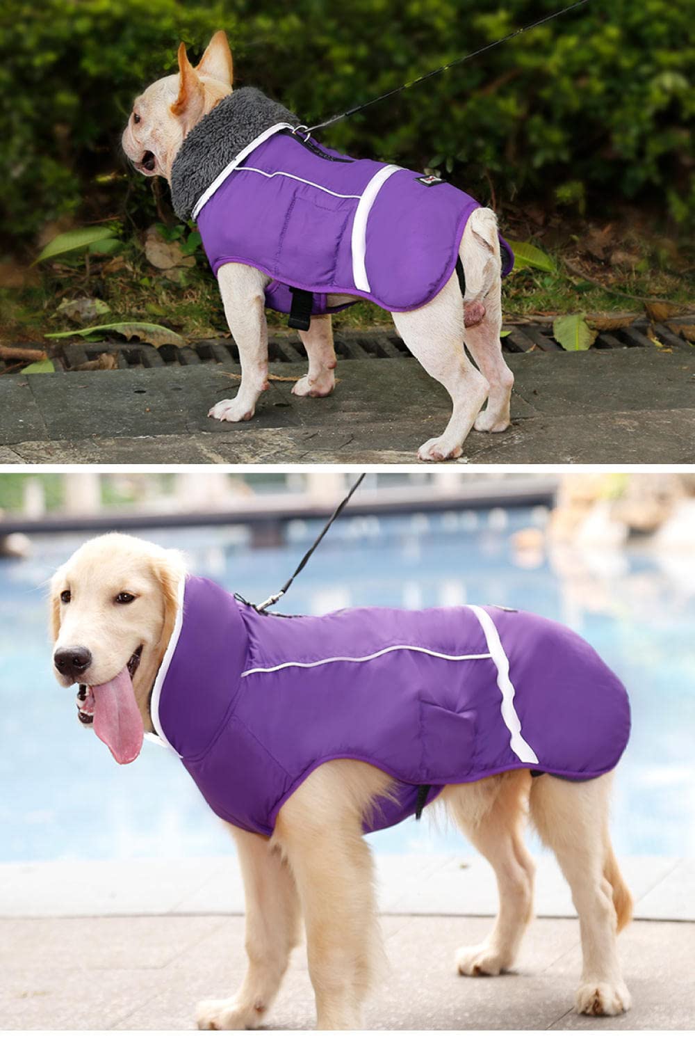 Waterproof & Windproof Reversible Dog Winter Coat - Warm & Cozy Cold Weather Vest for Small, Medium, Large Dogs with Furry Collar (Purple, XL) - Perfect for Outdoor Walks, Snow Play & Winter Adventures