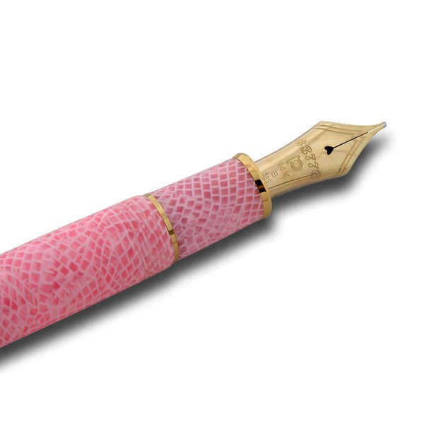 PLATINUM #3776 Century Celluloid Fountain Pen - Sakura Design with Fine Nib | Premium Writing Instrument for Calligraphy, Journaling & Gift Giving