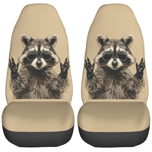 Raccoon Rock
