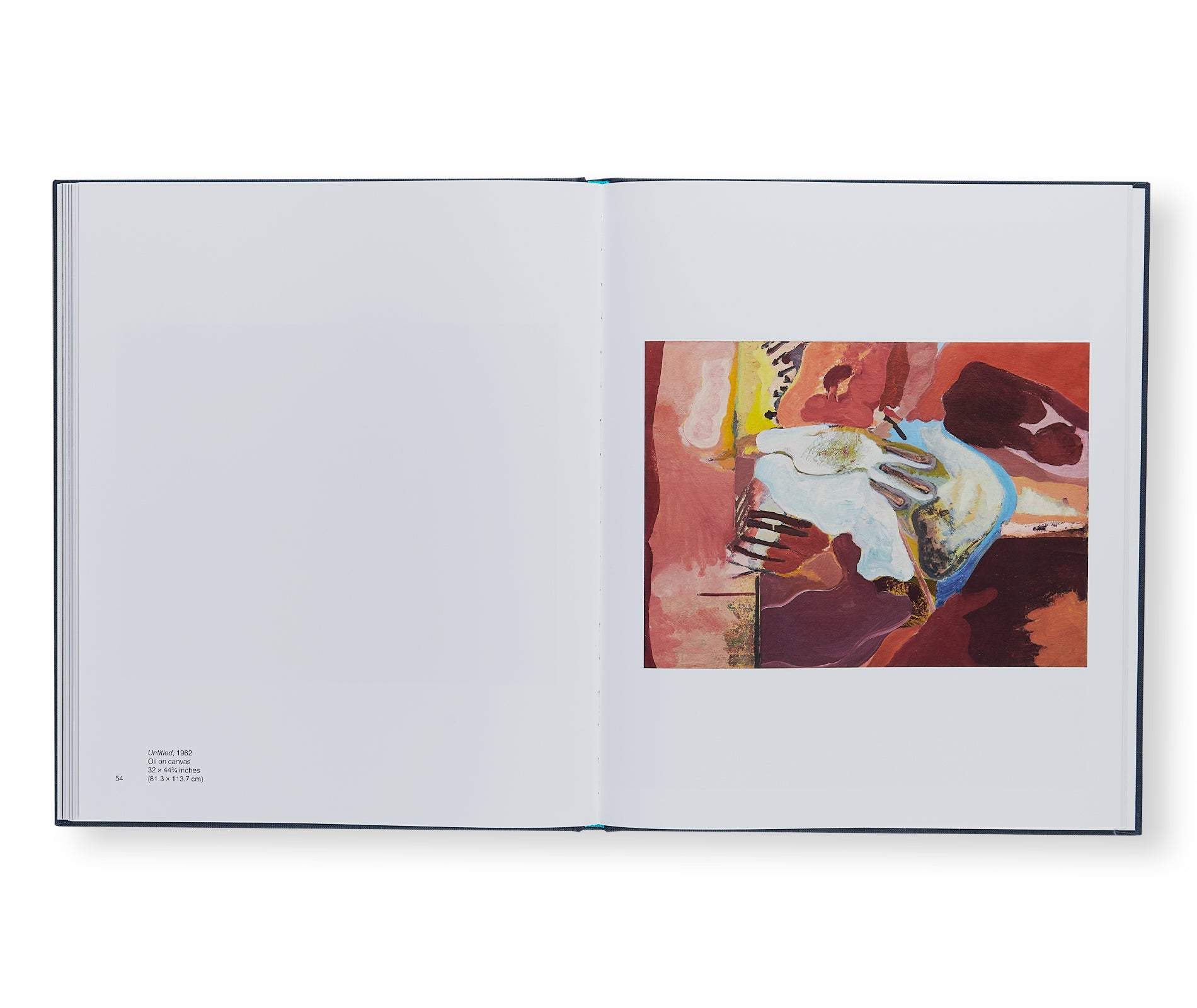 1960s: DARKNESS AND LIGHT by Louise Fishman - Abstract Expressionist Art Book - Perfect for Art Collectors, Students & Home Decor