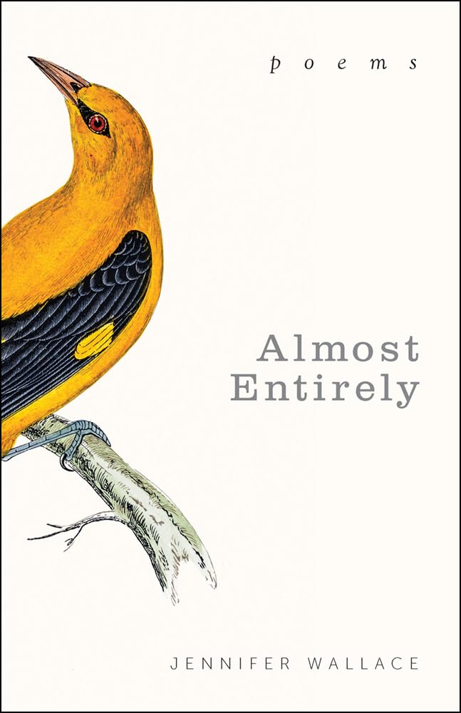 Almost Entirely: Poems (Paraclete Poetry) - Inspirational Christian Poetry for Meditation, Worship & Spiritual Growth