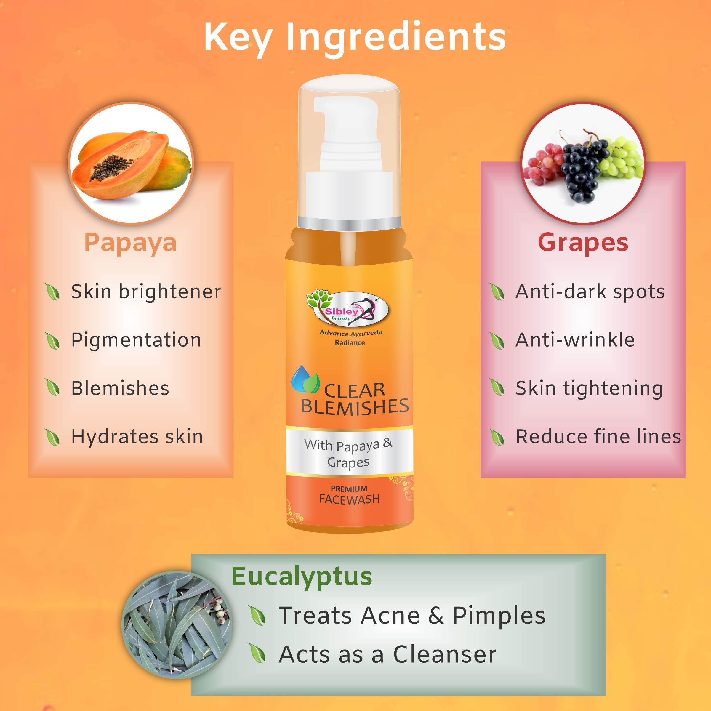 Sibley Beauty Aloe Vera Moisturizing Facial Kit with Papaya Face Wash & De Tan Cleanser - 155gm Cream + 10ml Serum, 100ml Face Wash, 60gm Cleanser - For Men, Women, Teens - Normal, Oily, Dry & Combination Skin - Daily Skincare Routine & Post-Sun Care