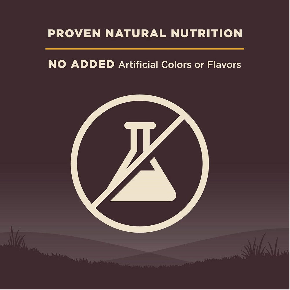 Premium CORE Turkey & Salmon Small Breed Puppy Dry Food - High Protein Grain-Free Kibble for Toy & Mini Dogs - Supports Healthy Growth & Digestion - Perfect for Teething, Training & Daily Meals
