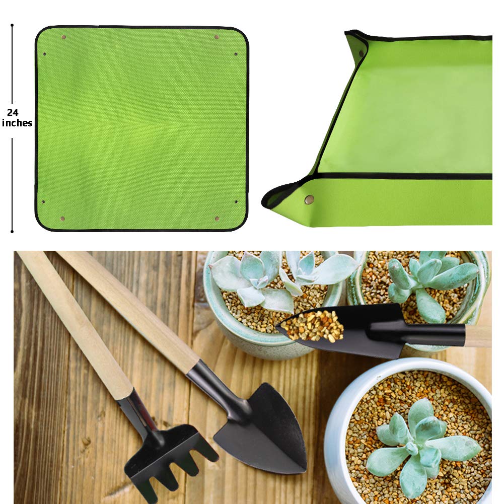 Premium Succulent Tools Kit with Organizer Bag & Planting Mat - 12-Piece Gardening Tool Set with Tote for Mini Succulent Care, Bonsai Planting & Indoor Gardening - Perfect for Home Decor, Office Plants & DIY Garden Projects