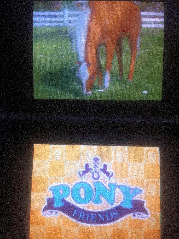 Pony Friends - Nintendo DS (Renewed) | Kids Adventure Game | Perfect for Travel & Family Game Night