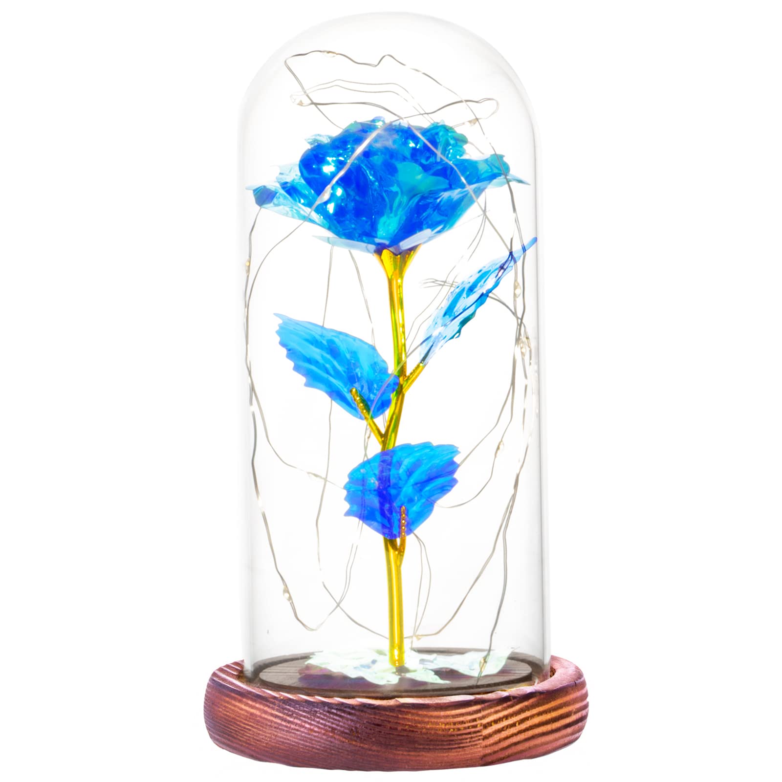 Tongtai Mother's Day Rose Flower Gift for Mom - Elegant Light Up Rose in Glass Dome, Perfect Gift from Daughter or Son for Birthday, Anniversary, Wedding - Romantic Home Decor & Night Light