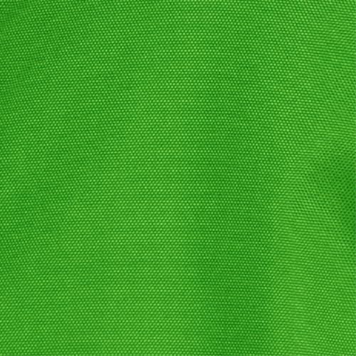 Turtle Grass