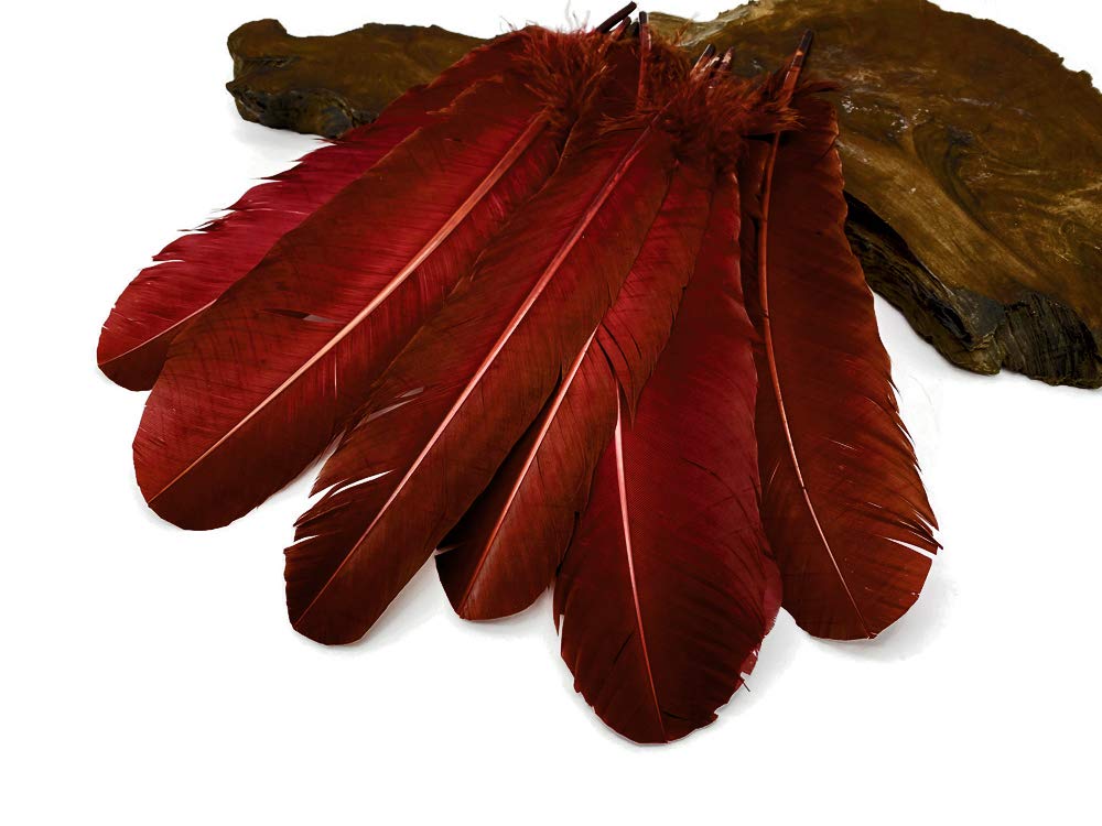 1 Lb. Wine Brown Turkey Tom Rounds Secondary Wing Quill Feathers Bulk - Halloween Craft Supplies, DIY Costume Accessories, Dreamcatcher Making | Moonlight Feather