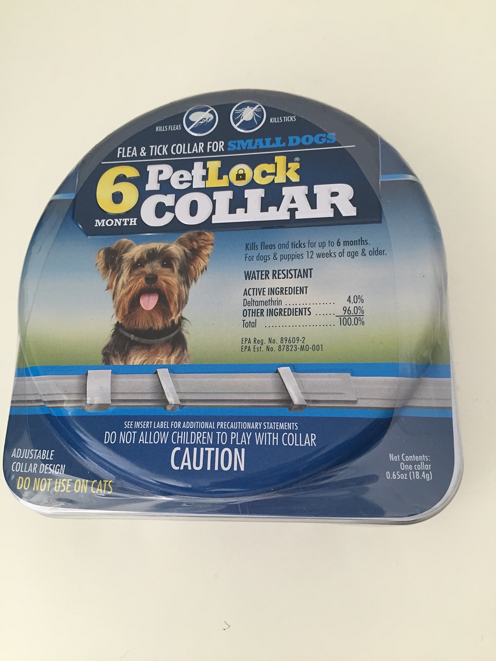 6 Month Small Dog Collar - Adjustable Puppy Collar for Small Breeds - Perfect for Training, Walks & Everyday Use