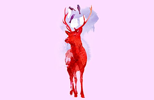 Domestic Deer
