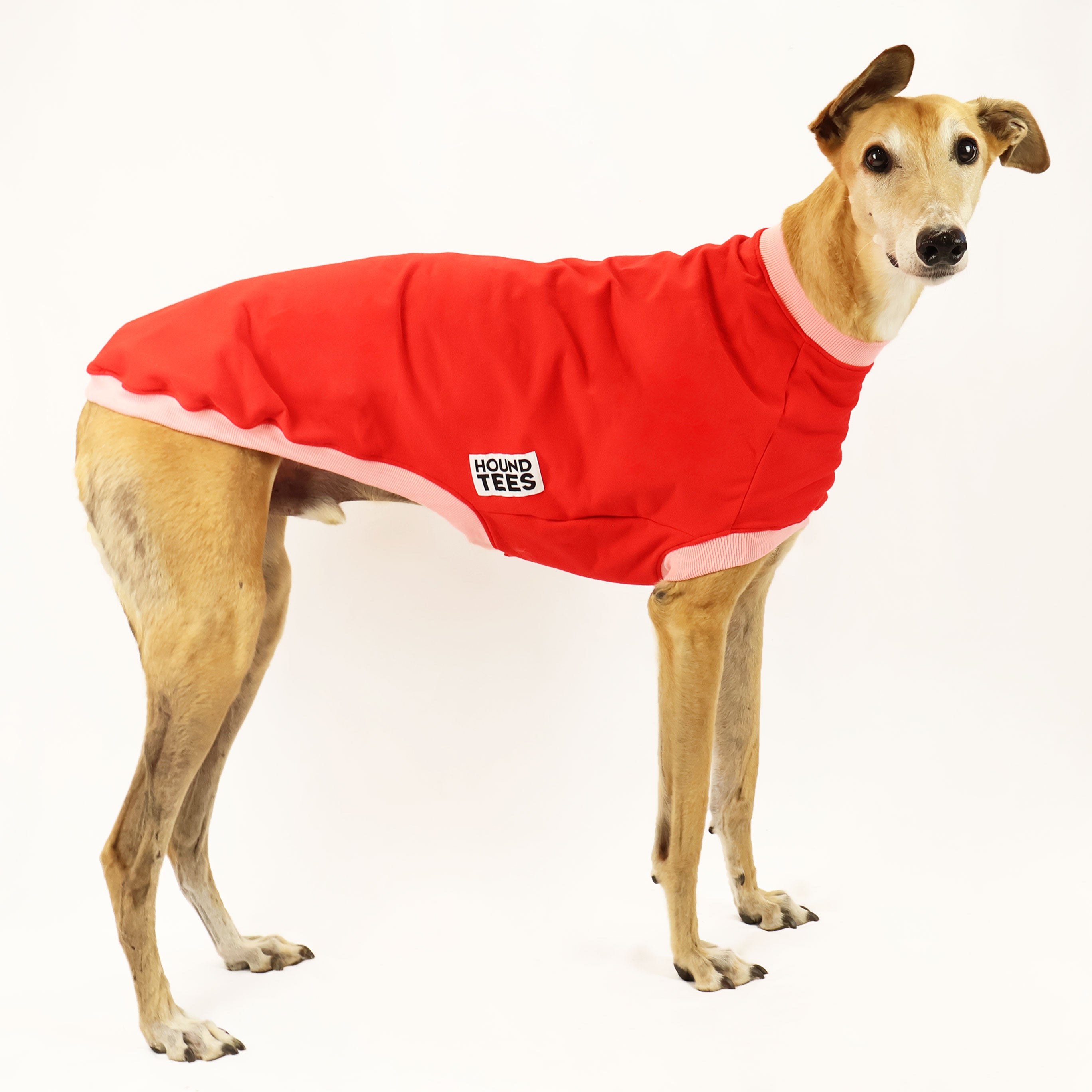 Sweet Cheeks Greyhound Sleeveless Dog Sweater - Cozy & Stylish Pet Apparel for Small to Medium Dogs - Perfect for Indoor Lounging & Outdoor Walks